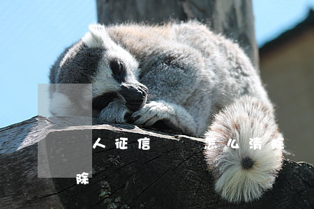 個人征信記錄怎么清除(個人征信怎么可以消除)