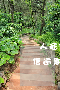 個人征信逾期一次會影響信用卡嗎-個人征信逾期一次會影響信用卡嗎知乎