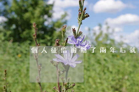 個人征信逾期了兩年后就沒事了嗎