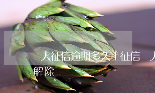 個人征信逾期多久上征信（個人征信逾期多久解除）