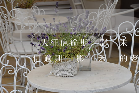 個人征信逾期會影響未來的老婆嗎-個人征信逾期會影響未來的老婆嗎知乎