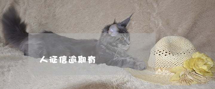 個人征信逾期有異議