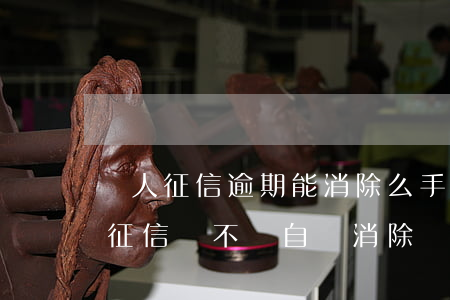 個人征信逾期能消除么（手機(jī)有逾期征信會不會自動消除）
