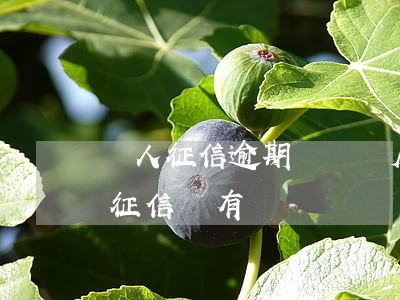 個人征信逾期記錄與房貸(銀行房貸逾期多久征信會有記錄)