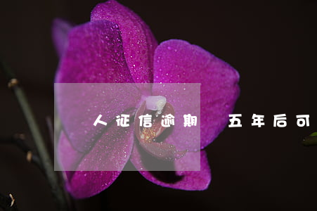 個人征信逾期過五年后可以恢復嗎