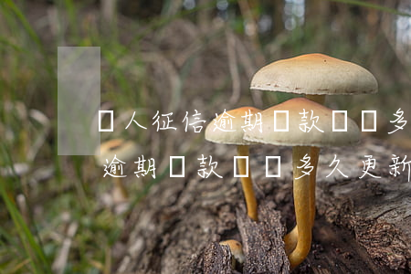 個人征信逾期還款記錄多久更新-個人征信逾期還款記錄多久更新一次