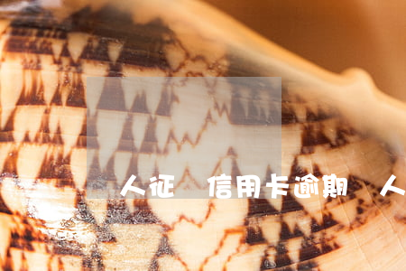 個人征詢 信用卡逾期(個人信用報告逾期記錄)