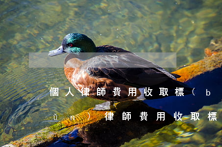 個人律師費用收取標(biāo)準(zhǔn)(律師費用收取標(biāo)準(zhǔn)計算)
