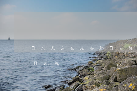 個人怎么去法院起訴流程(個人怎么去法院起訴流程)