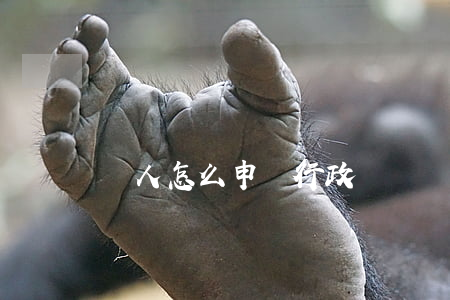 個人怎么申請行政訴訟(個人如何提起行政訴訟)