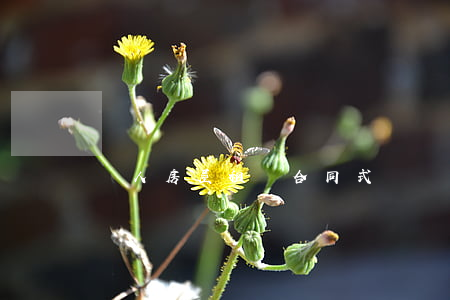 個人房屋租賃合同式樣