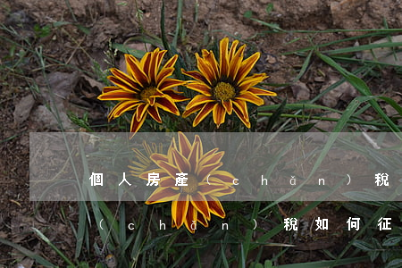 個人房產(chǎn)稅如何征收(個人房產(chǎn)稅如何征收標準)