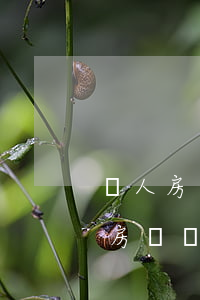 個人房貸怎么做是不違法的(個人貸款會影響房貸嗎)