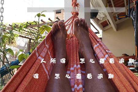 個人所得稅怎么查看逾期繳納罰款-個人所得稅怎么查看逾期繳納罰款金額