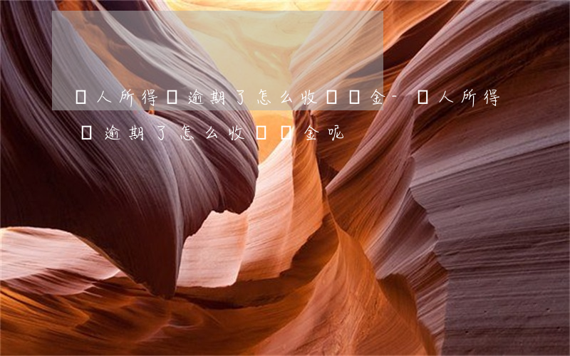 個人所得稅逾期了怎么收滯納金-個人所得稅逾期了怎么收滯納金呢