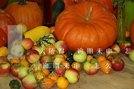 個人所得稅逾期未申報怎么處罰-個人所得稅逾期未申報怎么處罰的