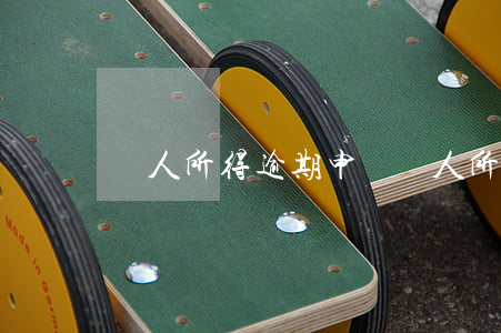 個人所得逾期申報(個人所得稅逾期申報)