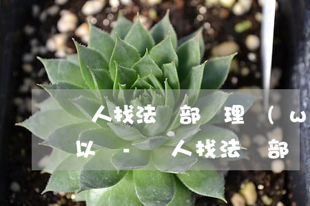 個人找法務部處理網(wǎng)貸逾期可以嗎-個人找法務部處理網(wǎng)貸逾期可以嗎安全嗎
