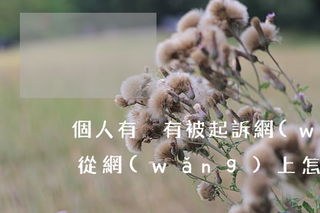 個人有沒有被起訴網(wǎng)上怎么查(從網(wǎng)上怎么查有沒有被起訴)