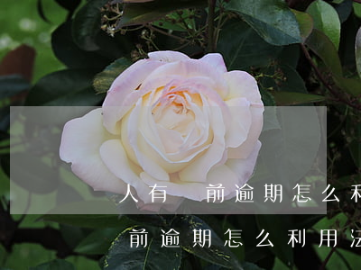 個人有當前逾期怎么利用法人罰款-個人有當前逾期怎么利用法人罰款呢
