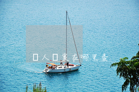 個人檔案在哪里查