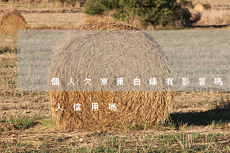 個人欠京東白條有影響嗎(京東白條會影響個人信用嗎)