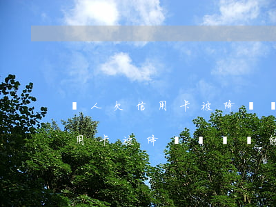 個人欠信用卡被降額沒償還能力-個人欠信用卡被降額沒償還能力怎么辦