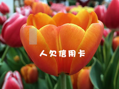 個人欠信用卡錢