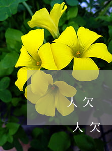 個人欠債2000萬已無力償還該怎么辦-個人欠債2000萬已無力償還該怎么辦呢