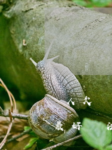 個人欠債無力償還怎么辦(個人欠債無力償還最好辦法)
