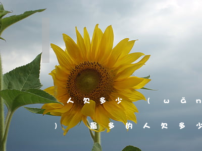個人欠多少網(wǎng)貸(網(wǎng)貸最多的人欠多少錢)
