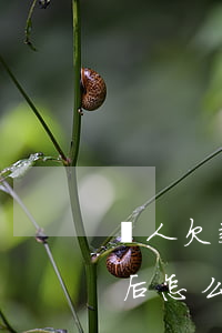 個人欠款收到律師函怎么辦(欠款收到律師函后怎么應(yīng)對)