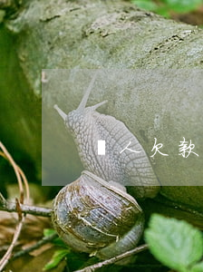 個人欠款條怎么寫(個人欠款條怎么寫有效)