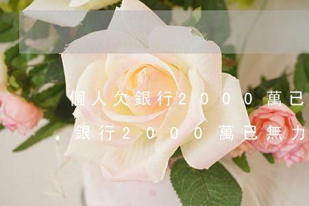 個人欠銀行2000萬已無力償還-個人欠銀行2000萬已無力償還怎么辦