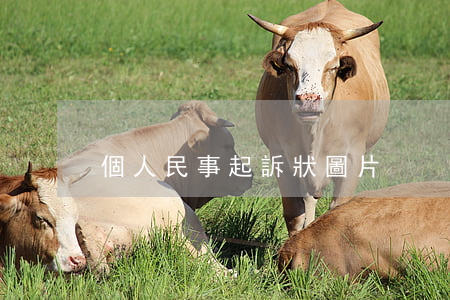 個人民事起訴狀圖片