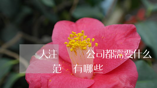 個人注冊勞務公司都需要什么證件（勞務公司經營范圍有哪些）