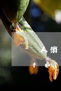 個人消費(fèi)貸款逾期了(個人消費(fèi)貸款 以貸還貸 處罰)