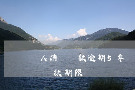 個人消費貸款逾期5年內(nèi)(個人消費貸款期限)