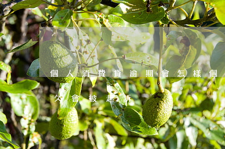 個人消費貸逾期會怎樣(個人消費貸款逾期多久會被起訴)