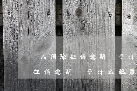 個人消除征信逾期屬于什么犯罪-個人消除征信逾期屬于什么犯罪類型