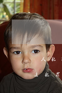 個人犯罪記錄查詢系統(tǒng)(個人違法犯罪記錄查詢系統(tǒng))