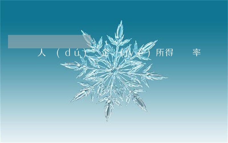 個人獨(dú)資企業(yè)所得稅稅率