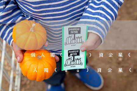個人獨(dú)資企業(yè)有章程嗎（個人獨(dú)資企業(yè)設(shè)立登記需要提交什么材料）