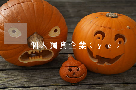 個人獨資企業(yè)