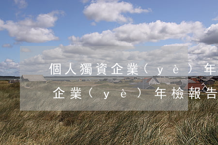 個人獨資企業(yè)年檢報告書(個人獨資企業(yè)年檢報告書在哪里)