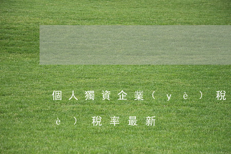 個人獨資企業(yè)稅(個人獨資企業(yè)稅率最新)