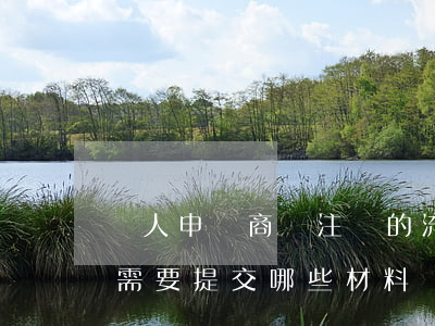個人申請商標注冊的流程（個人申請商標注冊需要提交哪些材料）
