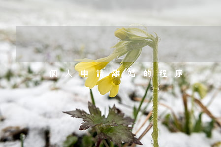個人申請離婚的程序