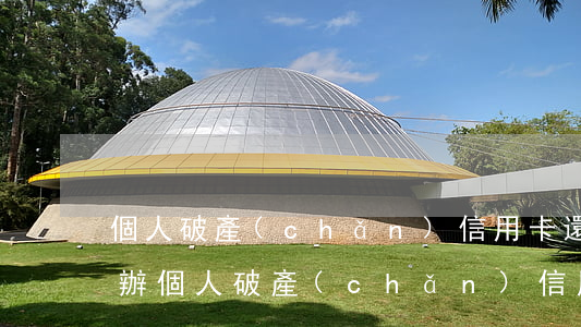 個人破產(chǎn)信用卡還不起了怎么辦(個人破產(chǎn) 信用卡還不起了怎么辦)