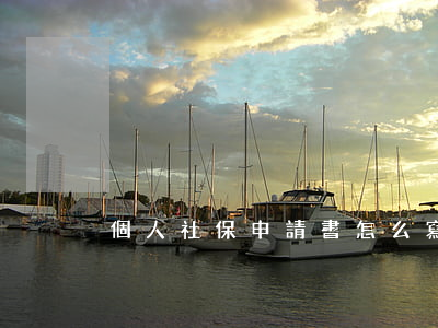 個人社保申請書怎么寫(個人社保申請書范文)